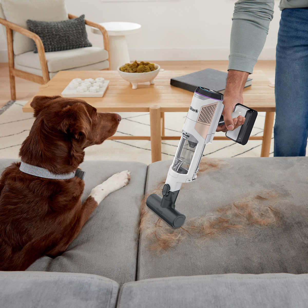 Shark Cordless Detect Pro Stick Vacuum with Auto-Empty System